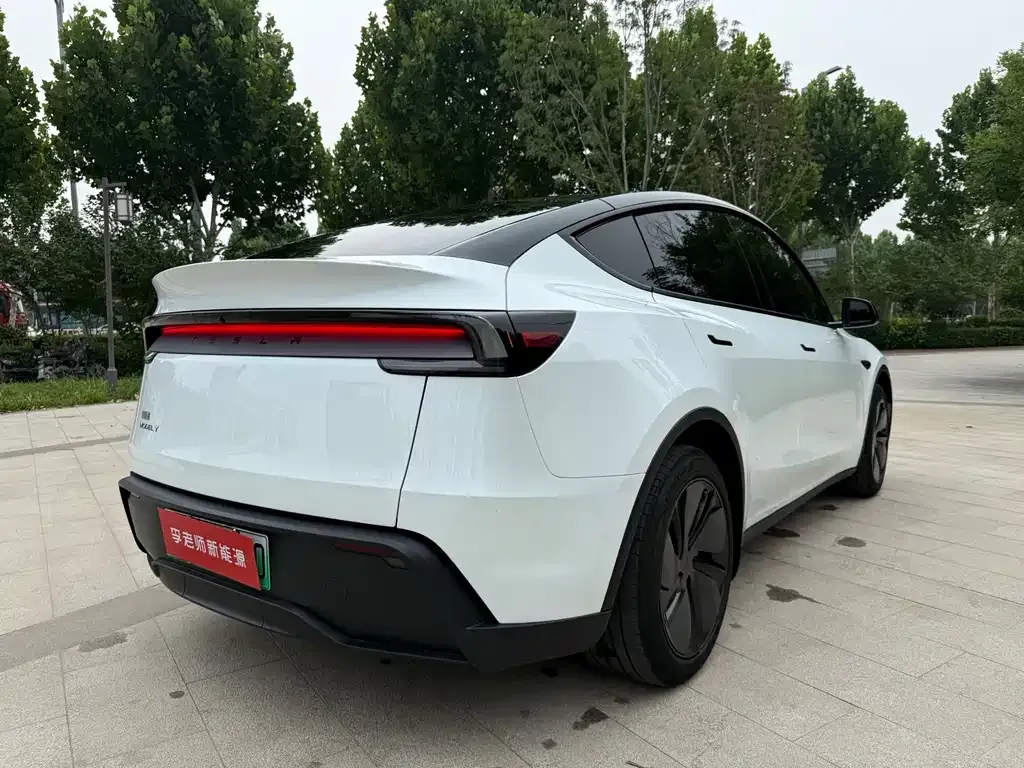 Tesla Model Y — фото 4