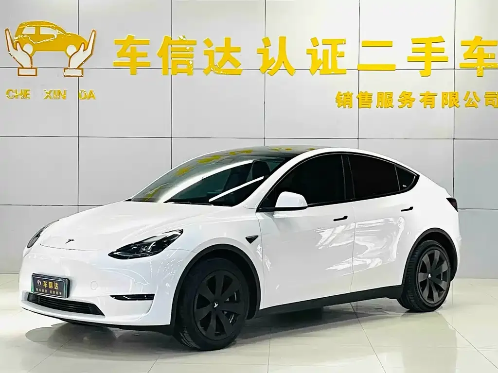 Tesla Model Y — фото 1