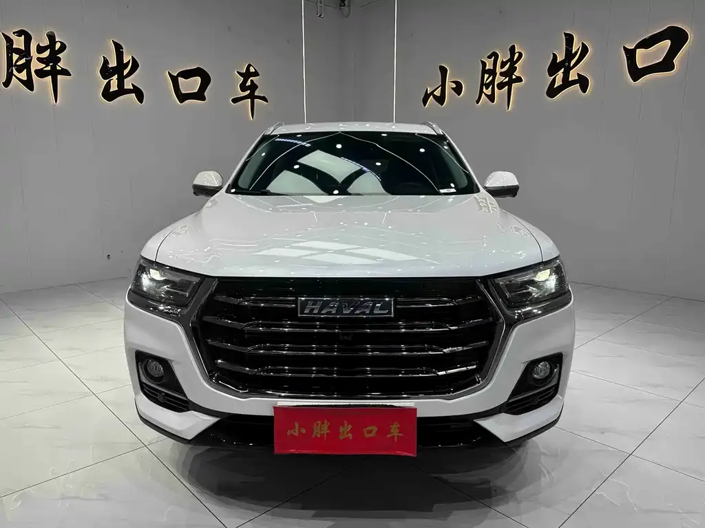 Haval H6 — фото 8