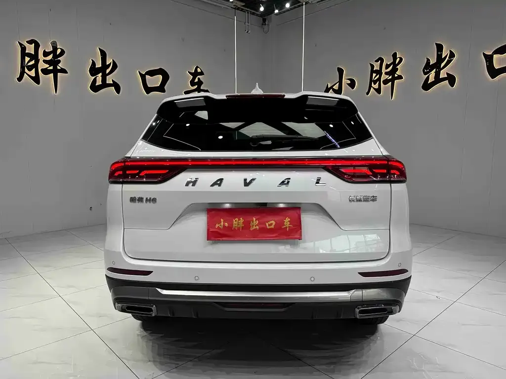 Haval H6 — фото 6