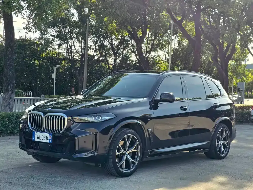 BMW X5 — фото 10