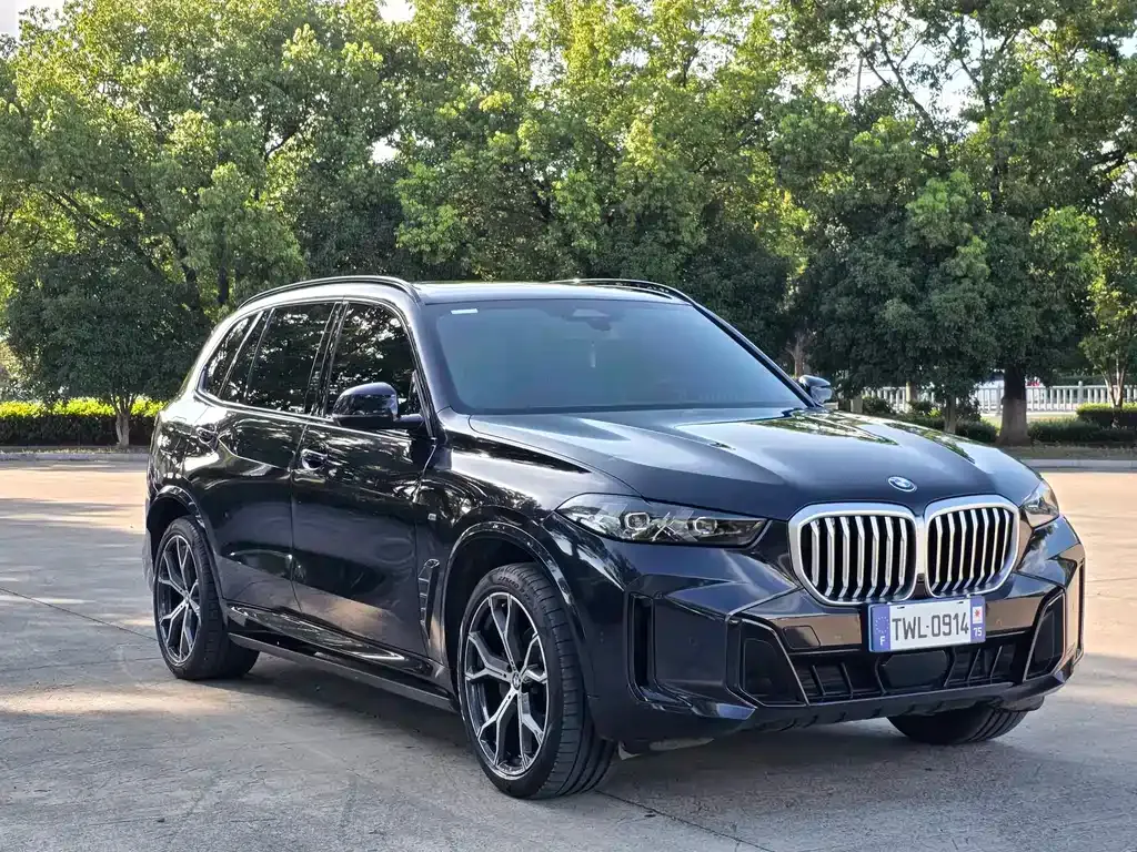 BMW X5 — фото 8