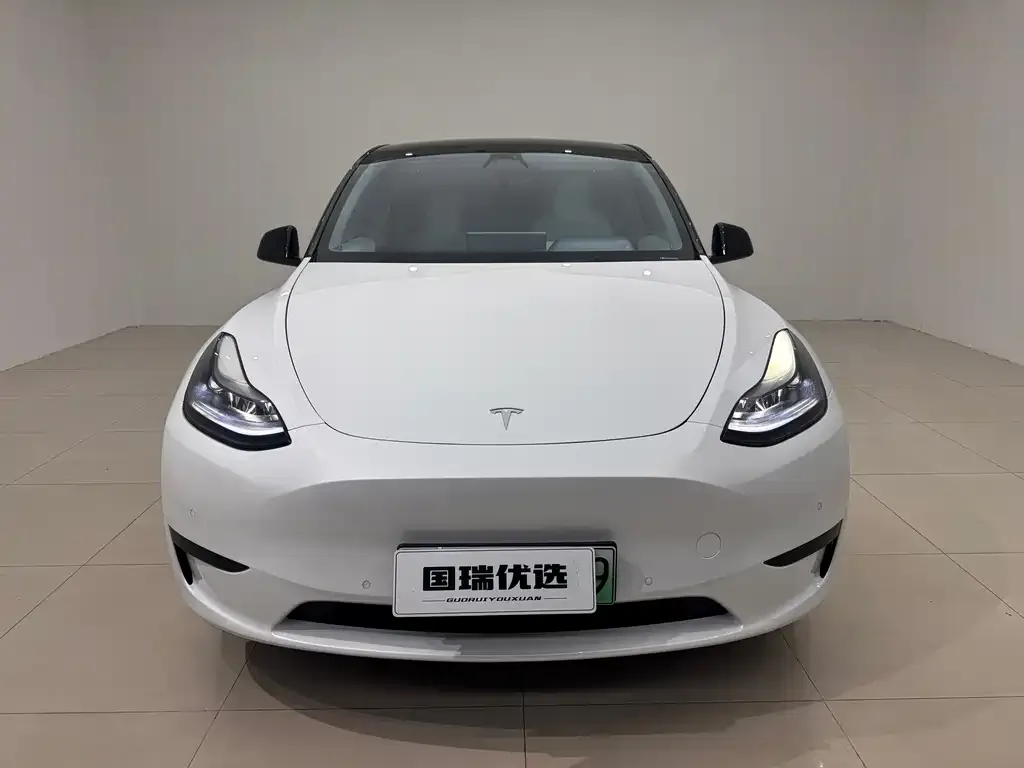 Tesla Model Y — фото 2