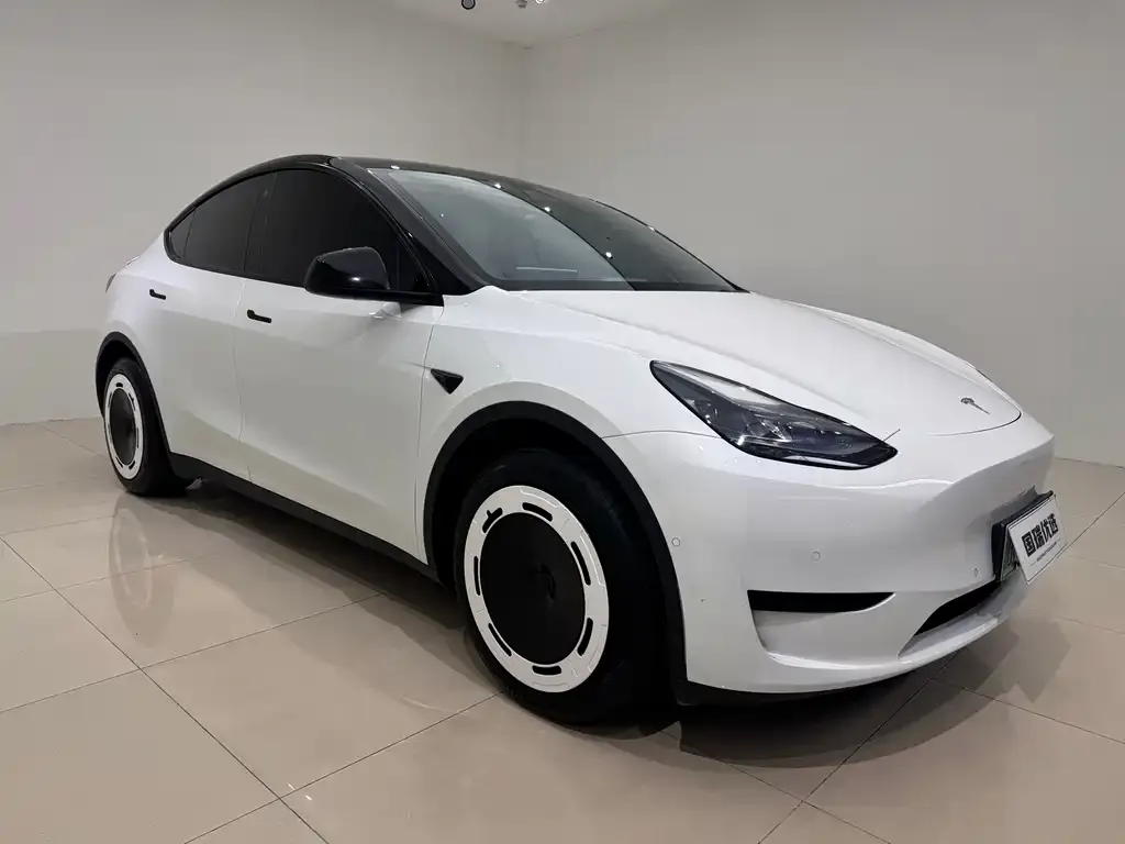 Tesla Model Y — фото 5
