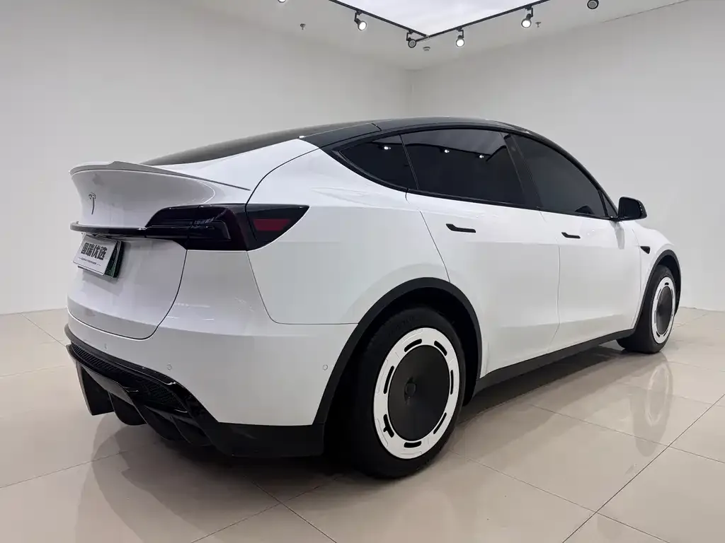 Tesla Model Y — фото 9