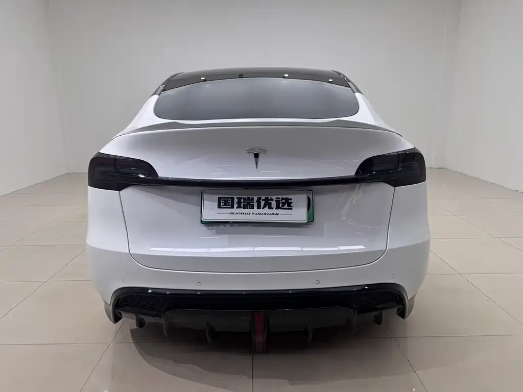 Tesla Model Y — фото 8