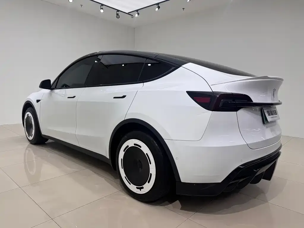 Tesla Model Y — фото 6