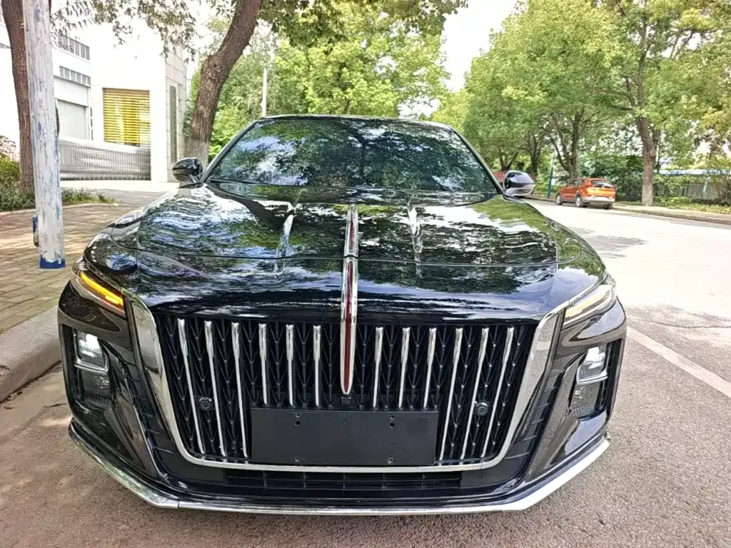 Hongqi H5 — фото 10