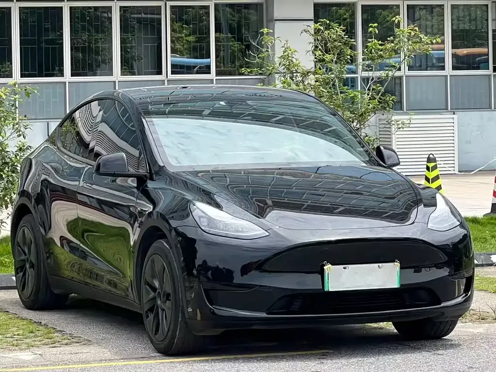 Tesla Model Y — фото 6