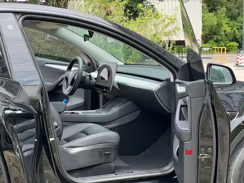 Tesla Model Y — фото 10