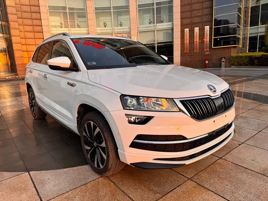 Skoda Karoq — фото 7