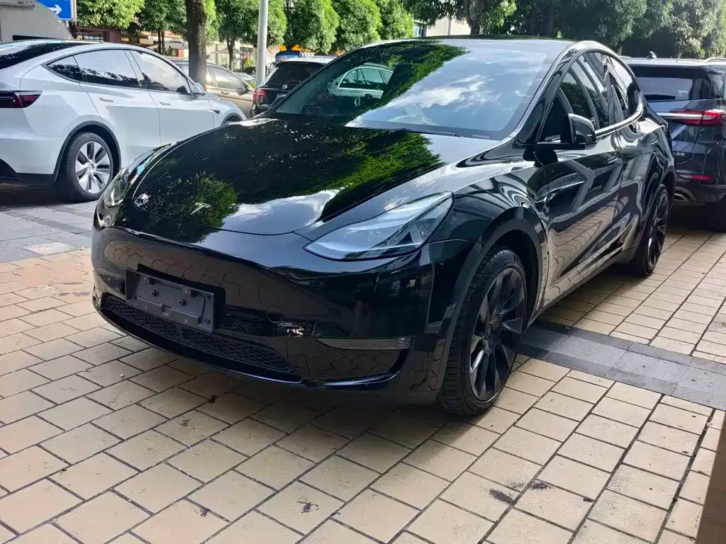 Tesla Model Y — фото 1
