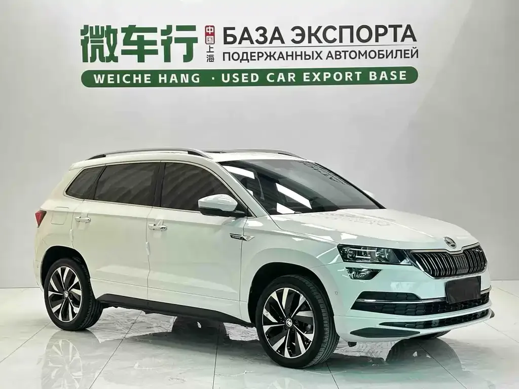 Skoda Karoq — фото 6