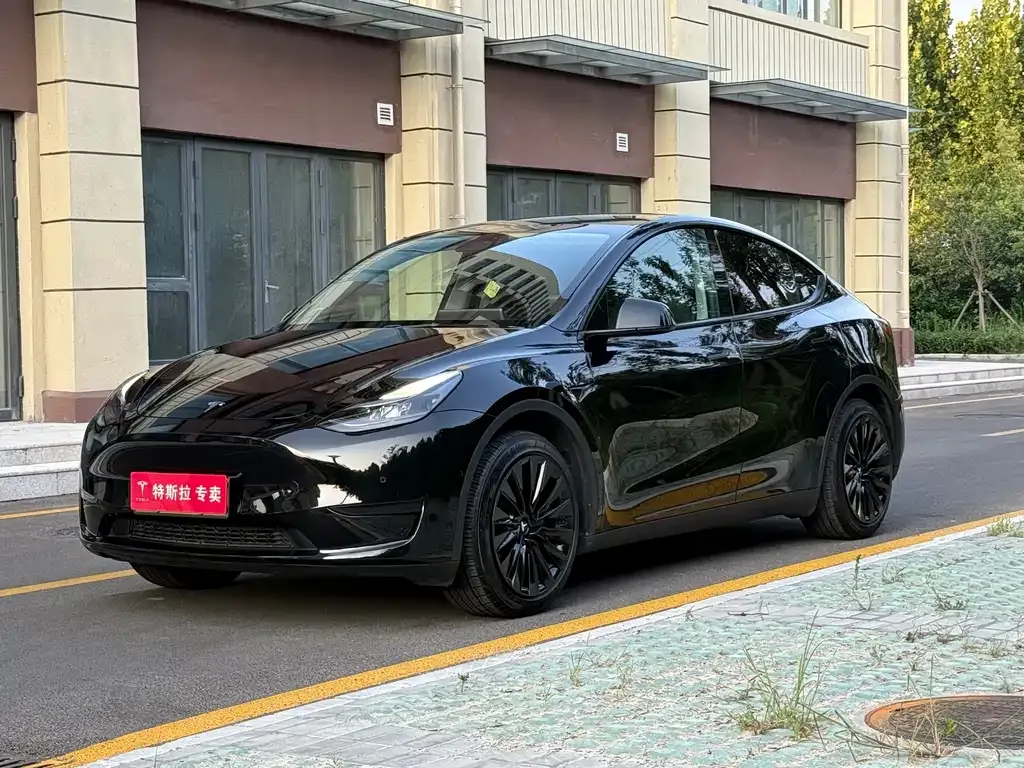 Tesla Model Y — фото 1