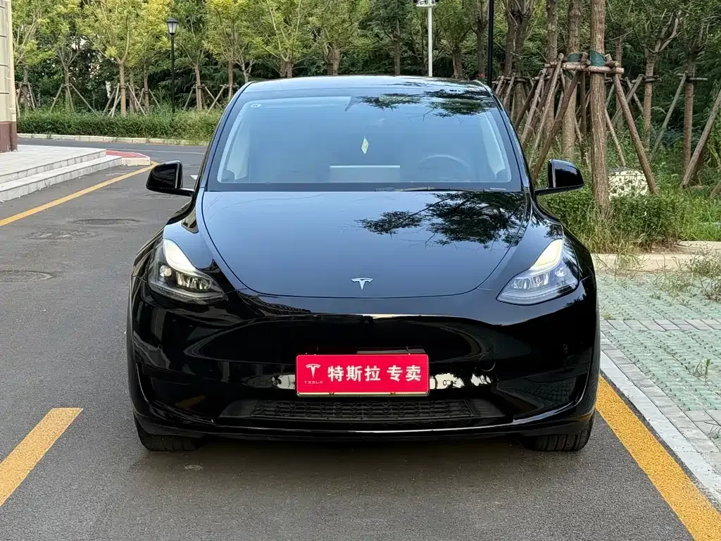 Tesla Model Y — фото 8