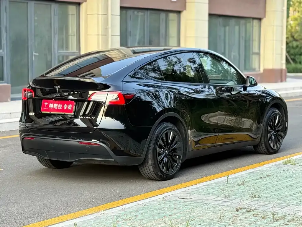 Tesla Model Y — фото 4