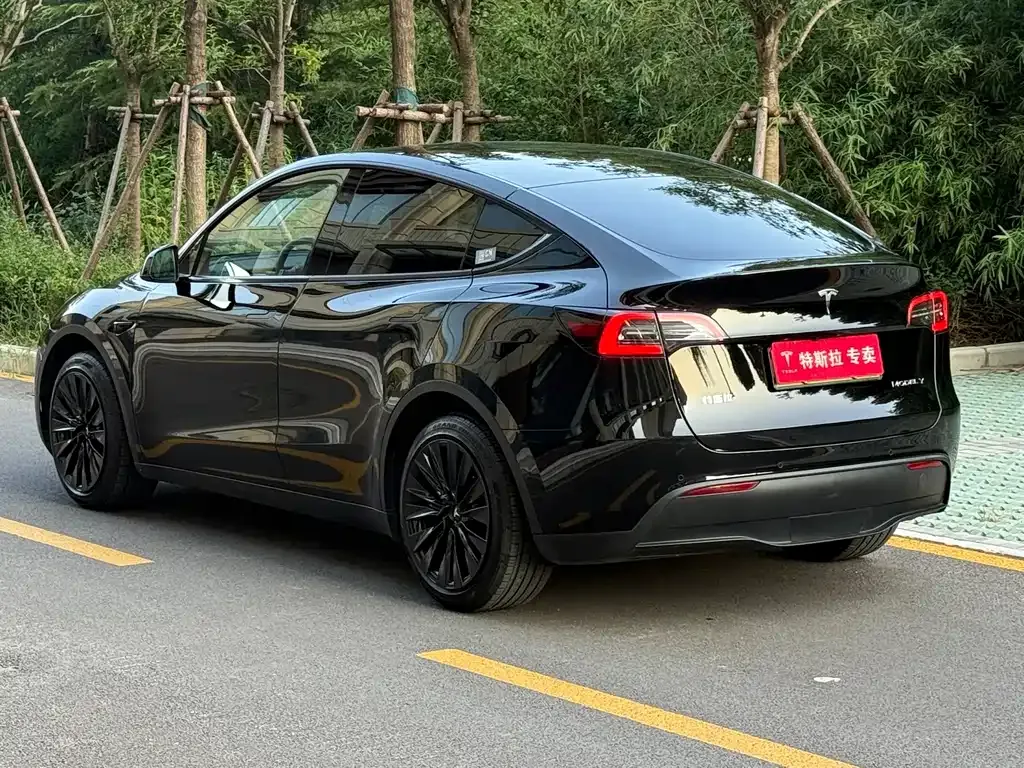 Tesla Model Y — фото 9