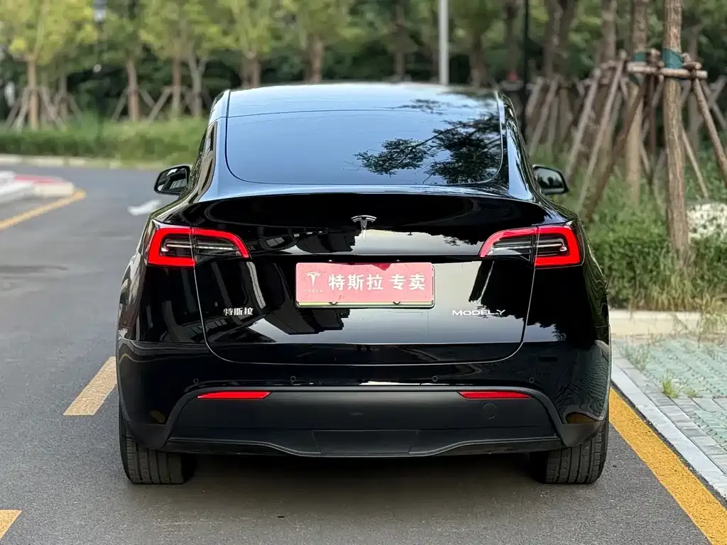 Tesla Model Y — фото 2