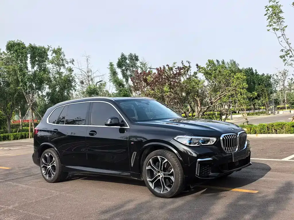 BMW X5 — фото 5