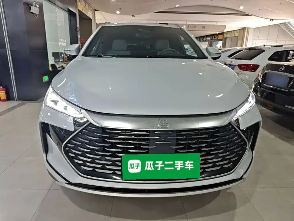 BYD Tang New Energy — фото 4