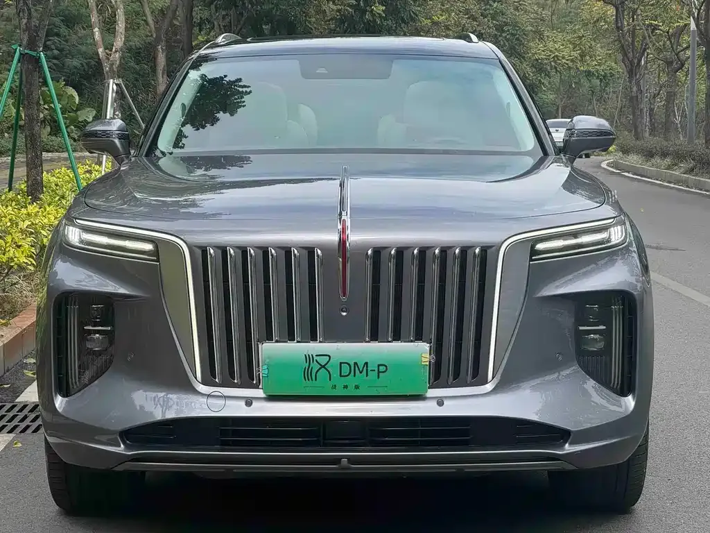Hongqi E-HS9 — фото 5