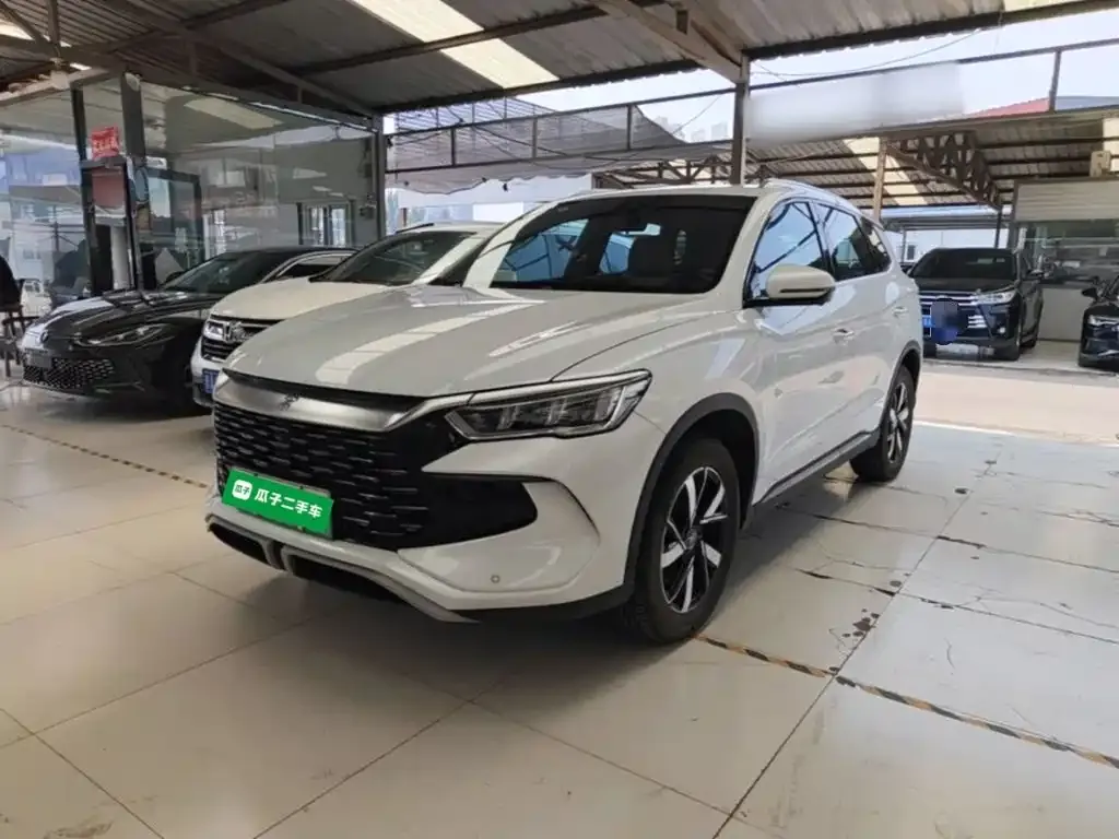 BYD Pro New Energy — фото 1