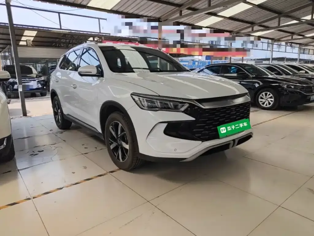 BYD Pro New Energy — фото 9