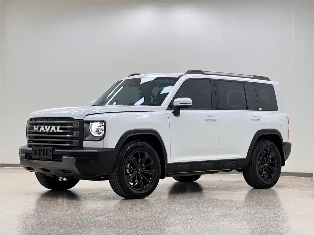 Haval Menglong New Energy — фото 1