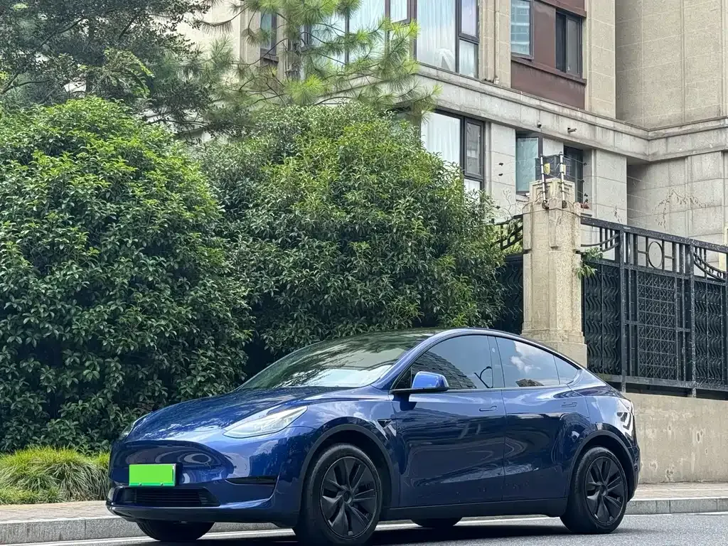 Tesla Model Y — фото 1