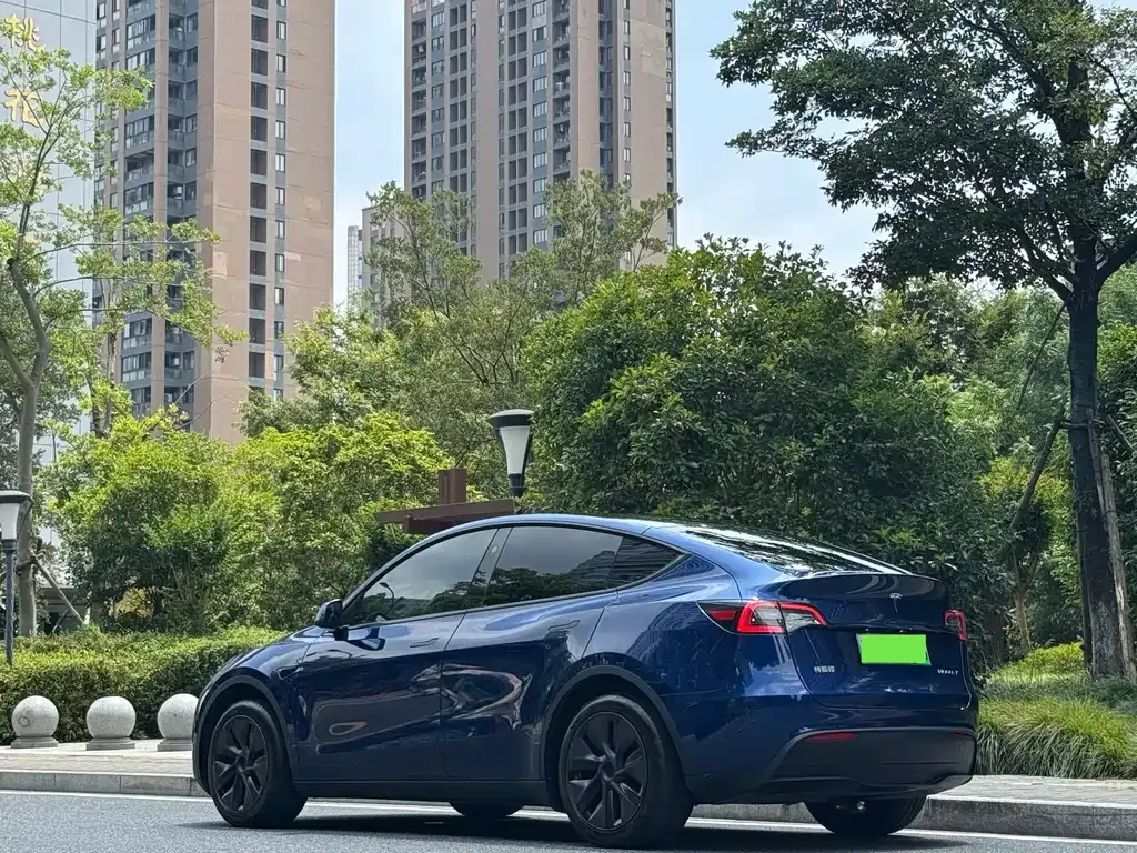 Tesla Model Y — фото 9