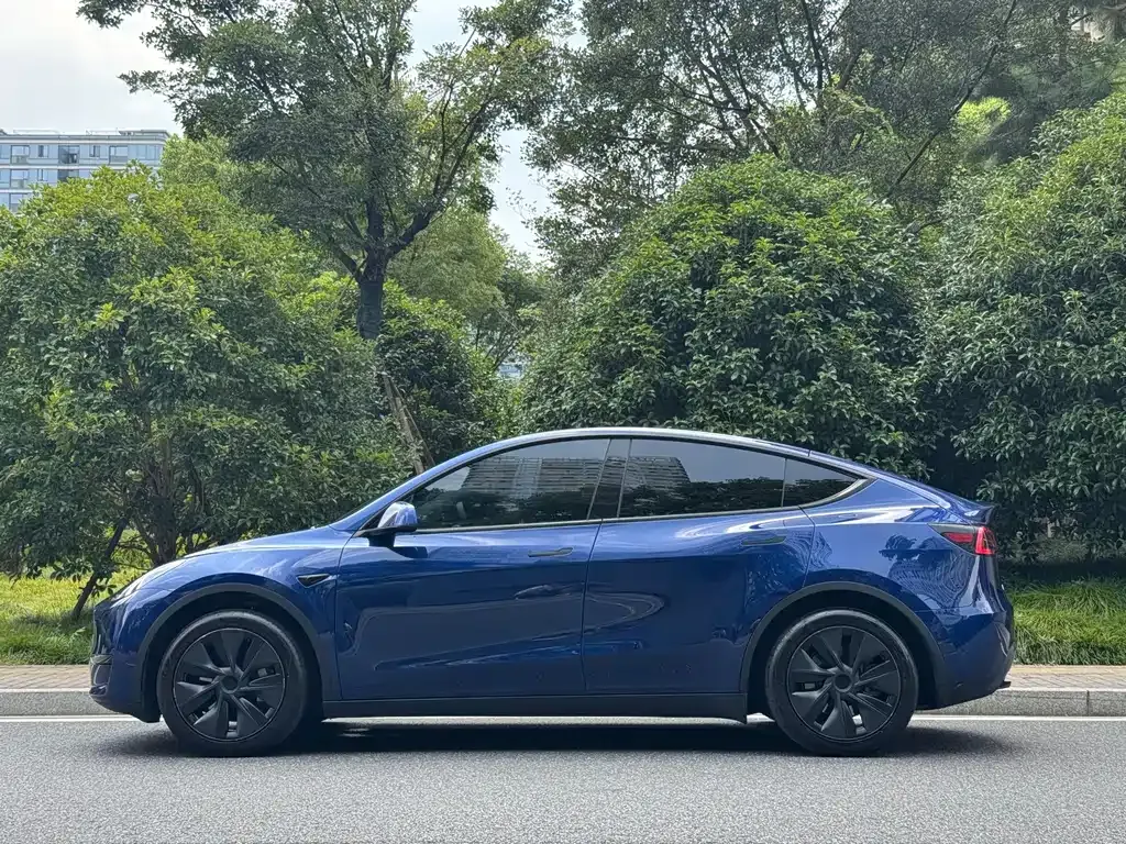 Tesla Model Y — фото 10
