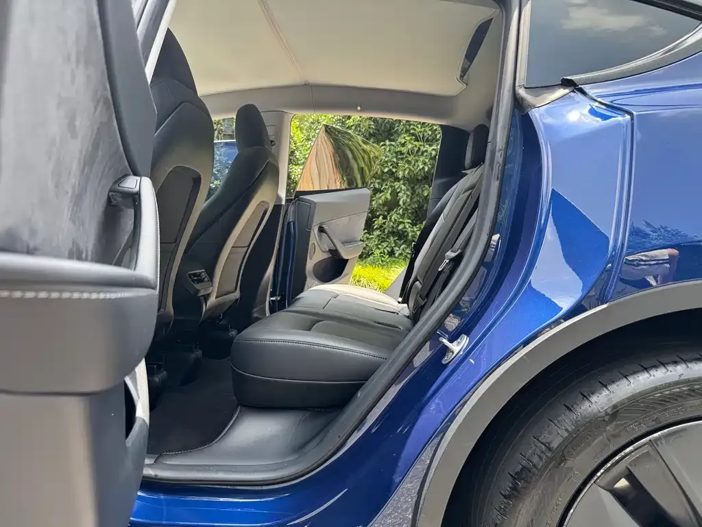 Tesla Model Y — фото 8