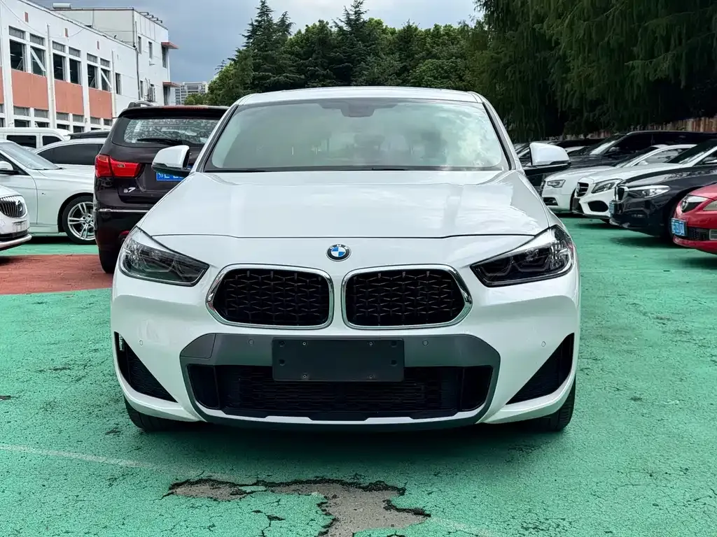 BMW X2 — фото 1