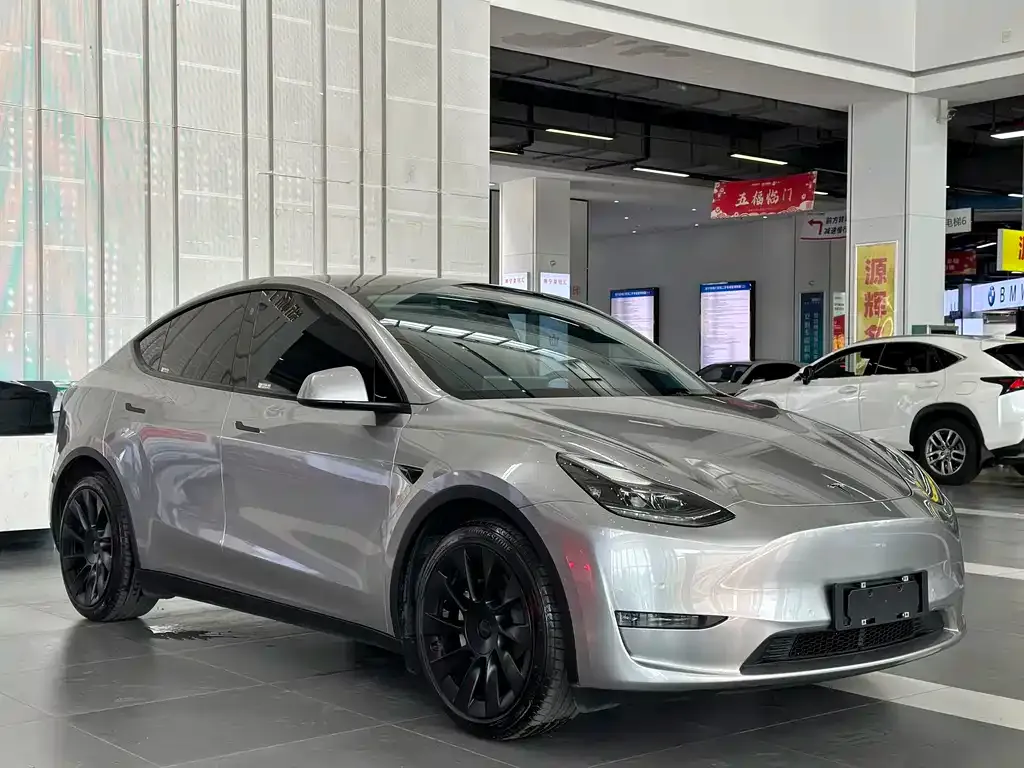 Tesla Model Y — фото 9