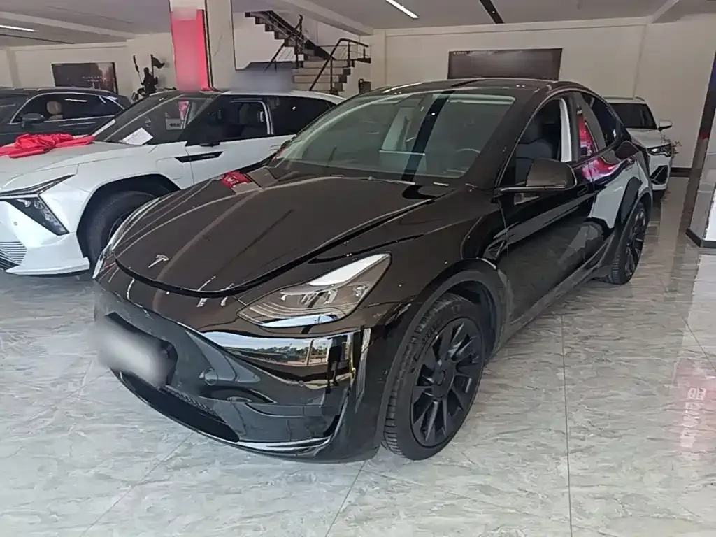 Tesla Model Y — фото 1