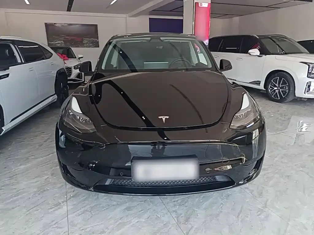 Tesla Model Y — фото 10