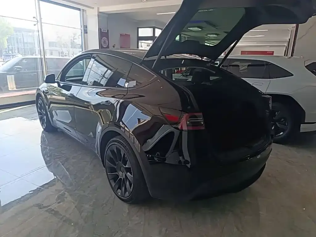 Tesla Model Y — фото 5