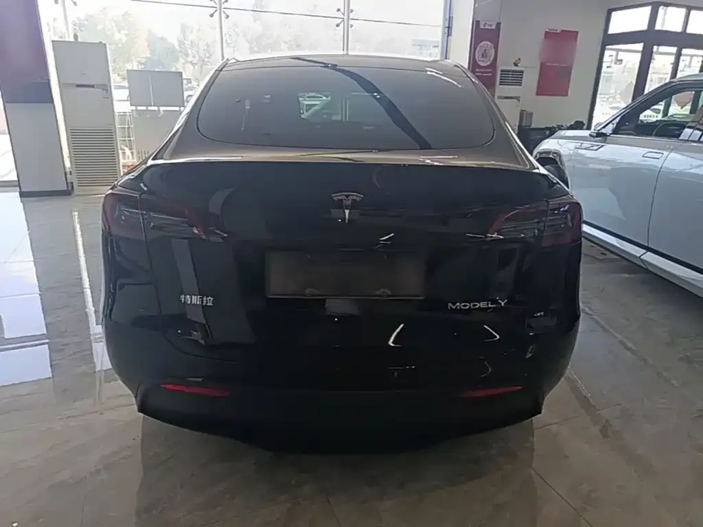 Tesla Model Y — фото 4