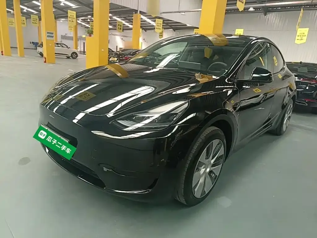 Tesla Model Y — фото 10