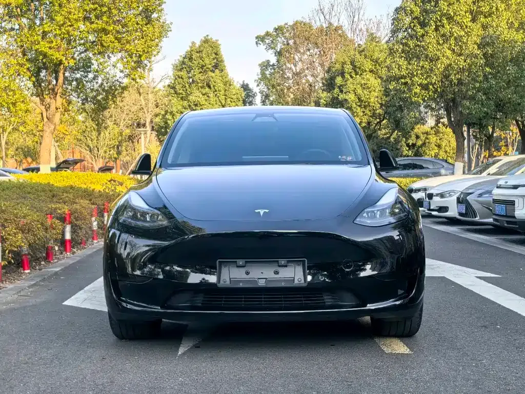 Tesla Model Y — фото 10