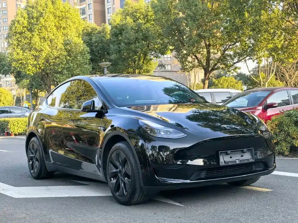 Tesla Model Y — фото 9