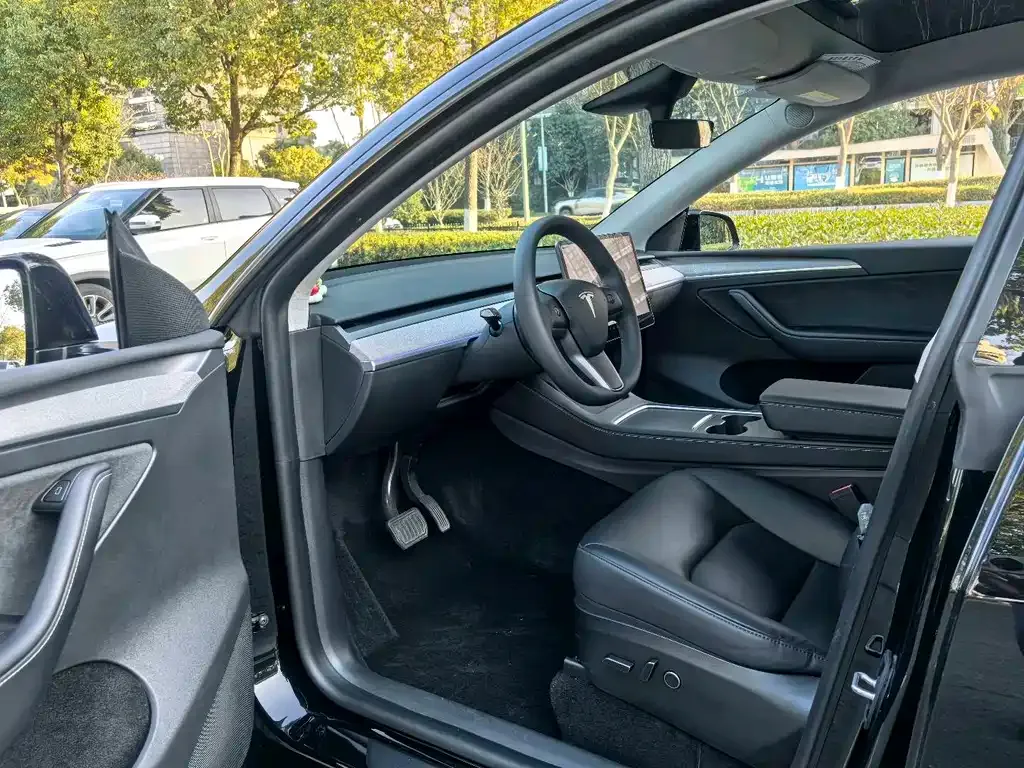 Tesla Model Y — фото 2