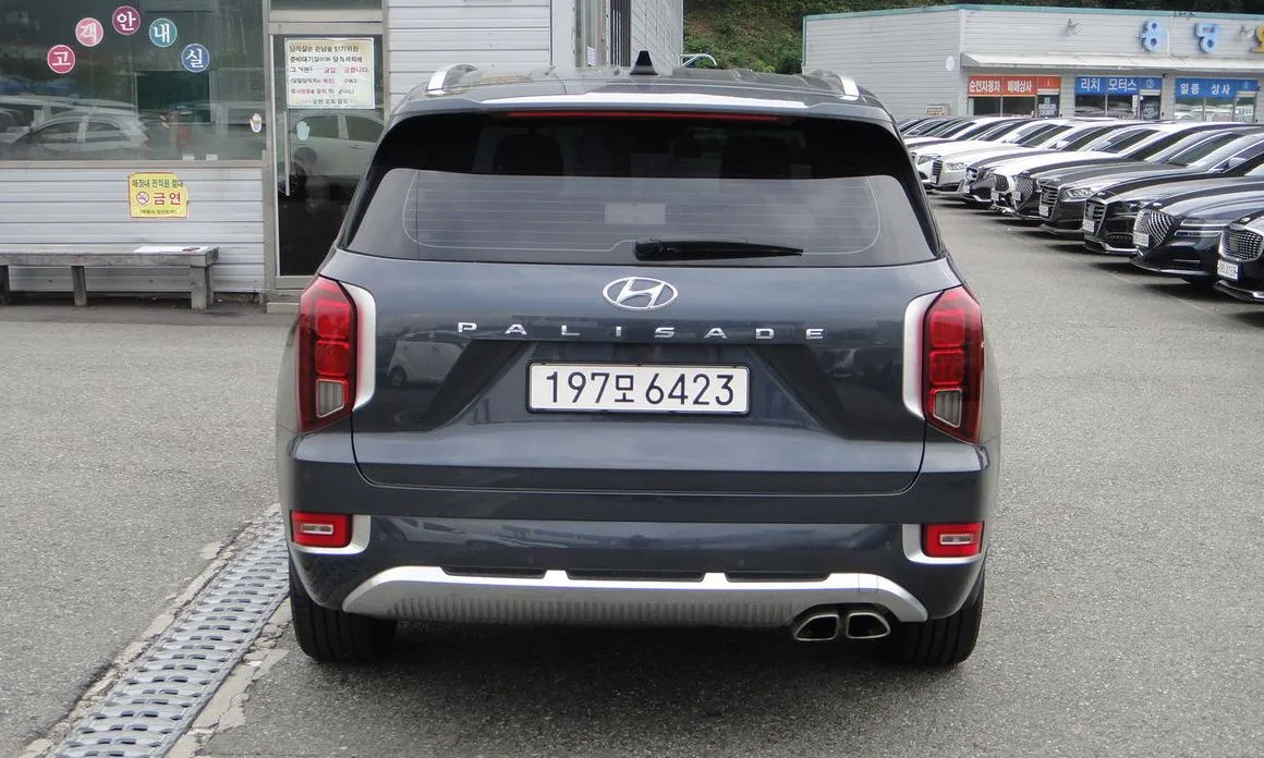 Hyundai Palisade — фото 10