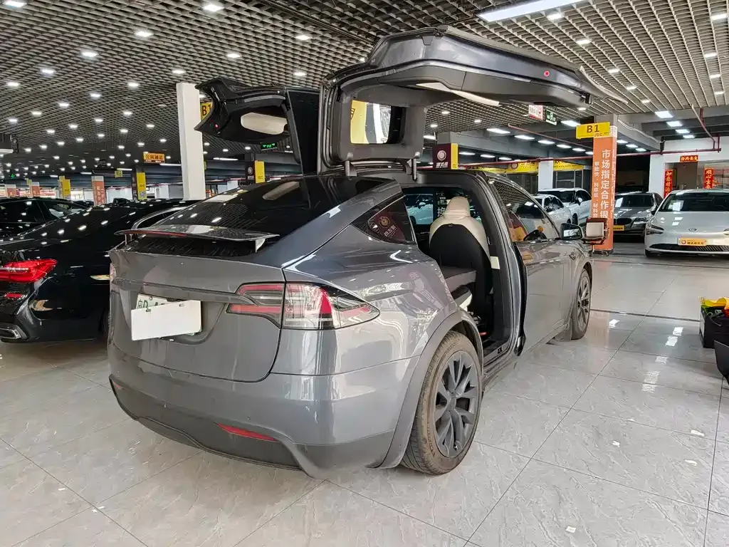 Tesla Model X — фото 8