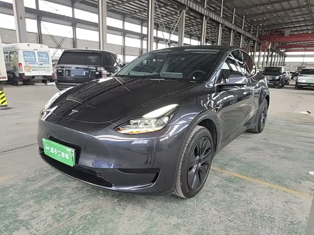 Tesla Model Y — фото 1