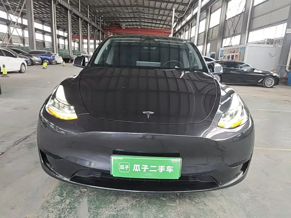 Tesla Model Y — фото 10