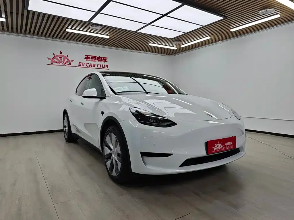 Tesla Model Y — фото 9
