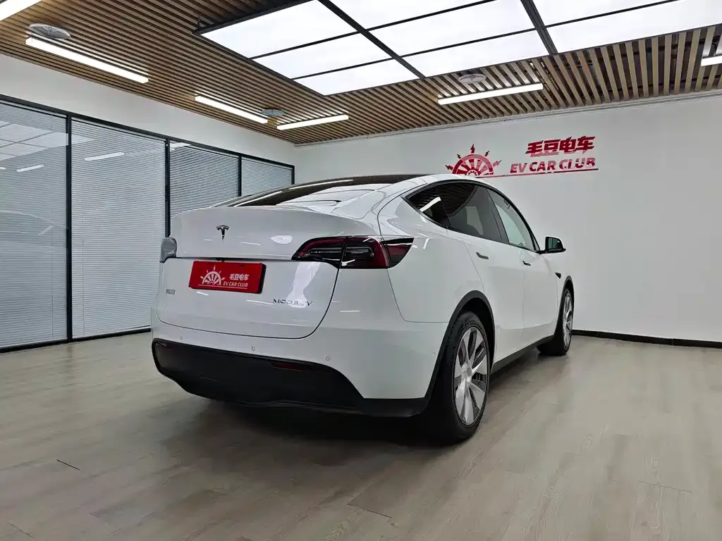 Tesla Model Y — фото 8