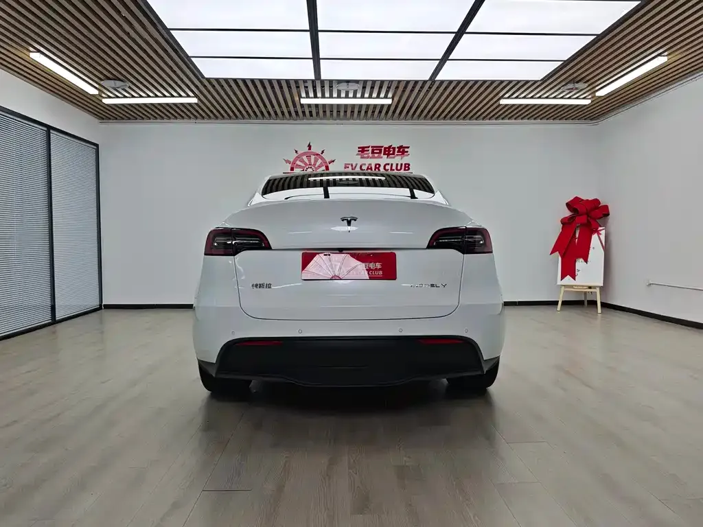 Tesla Model Y — фото 10