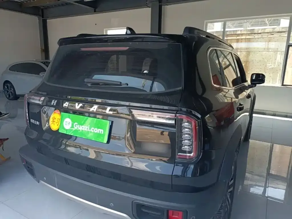 Haval Big Dog — фото 10